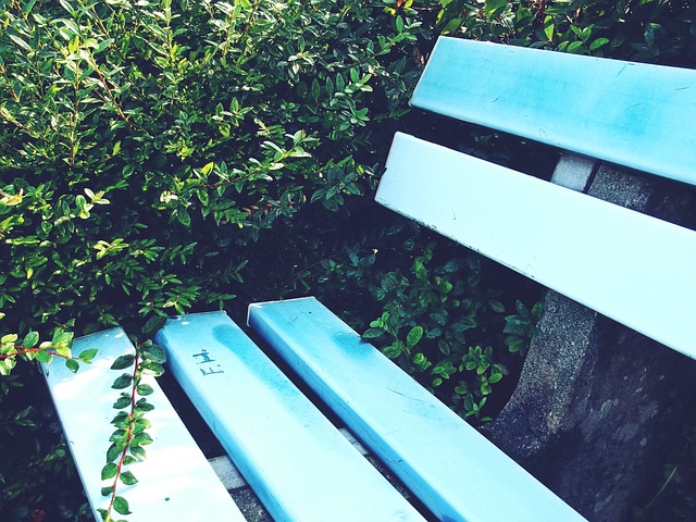 由于观众间 由于观众间