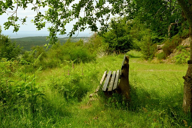 个足球文化 个足球文化
