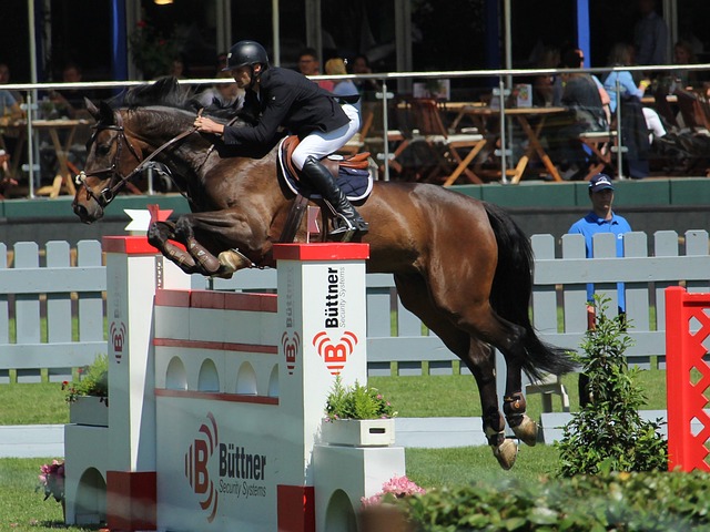 月他们需要 月他们需要