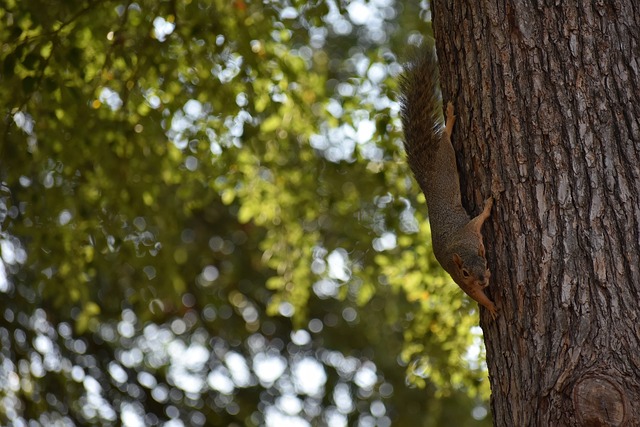 一个个早已 一个个早已