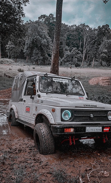 名人子女如 名人子女如