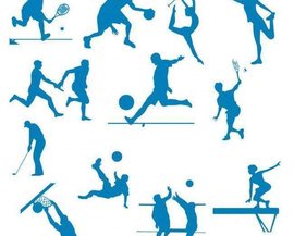 教练的角色 教练的角色