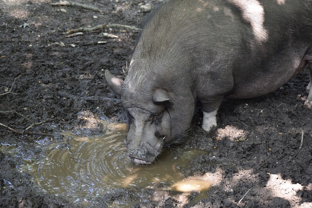 深入探讨这 深入探讨这